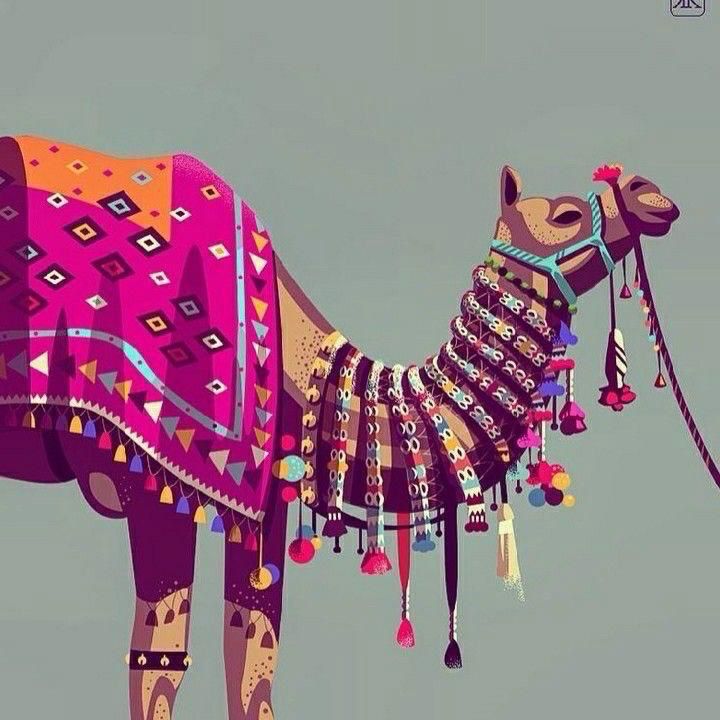 Decorated camel